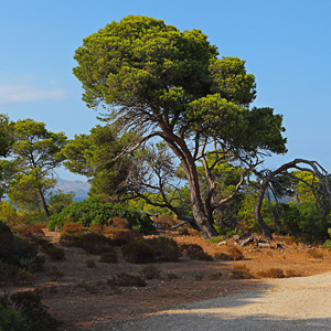 Fotos von Jürgen Schmidt