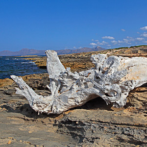 Fotos von Jürgen Schmidt