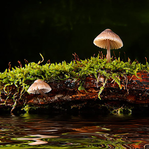 Fotos von Jürgen Schmidt