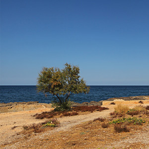 Fotos von Jürgen Schmidt