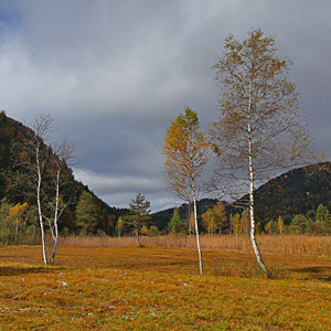Fotos von Jürgen Schmidt