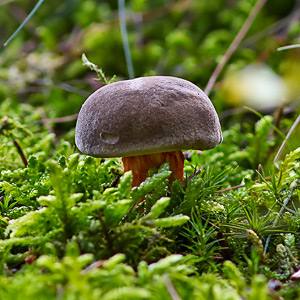 Fotos von Jürgen Schmidt