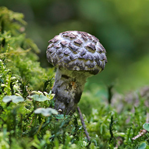 Fotos von Jürgen Schmidt