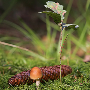 Fotos von Jürgen Schmidt