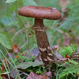 Fotos von Jürgen Schmidt