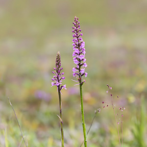 Fotos von Jürgen Schmidt