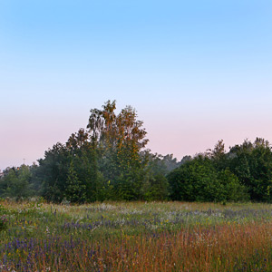 Fotos von Jürgen Schmidt
