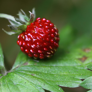 Fotos von Jürgen Schmidt