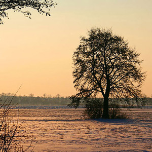 Fotos von Jürgen Schmidt
