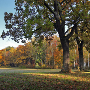 Fotos von Jürgen Schmidt