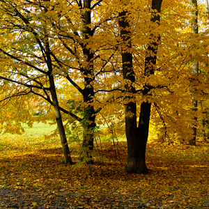 Fotos von Jürgen Schmidt
