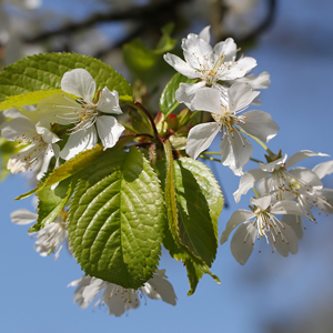 Fotos von Jürgen Schmidt