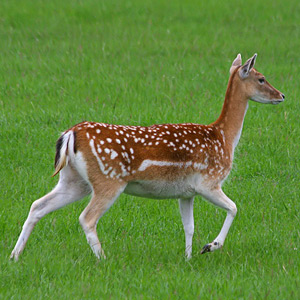 Fotos von Jürgen Schmidt