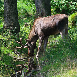 Fotos von Jürgen Schmidt
