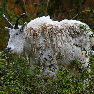Fotos von Jürgen Schmidt