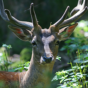 Fotos von Jürgen Schmidt