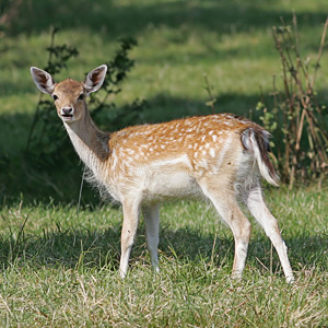 Fotos von Jürgen Schmidt