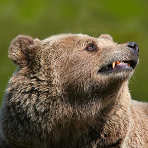 Fotos von Jürgen Schmidt