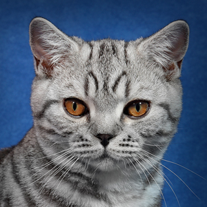 Fotos von Jürgen Schmidt