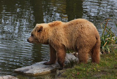 Fotos von Jürgen Schmidt