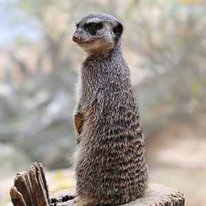 Fotos von Jürgen Schmidt