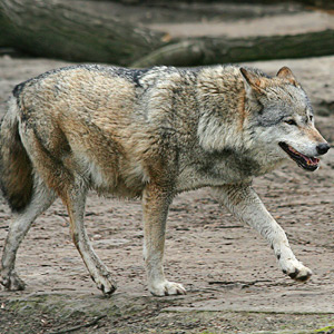 Fotos von Jürgen Schmidt