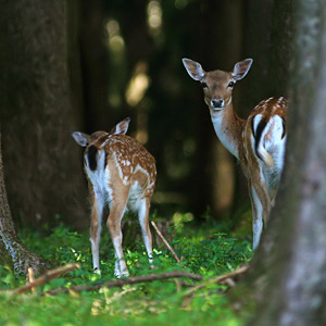Fotos von Jürgen Schmidt