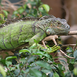 Fotos von Jürgen Schmidt