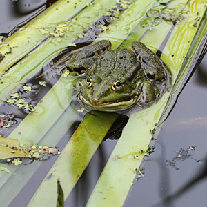 Fotos von Jürgen Schmidt