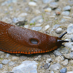 Fotos von Jürgen Schmidt