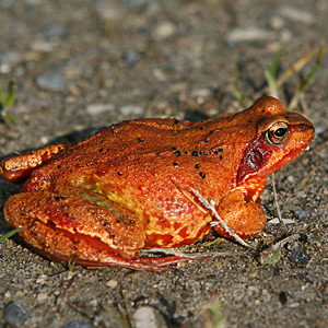 Fotos von Jürgen Schmidt