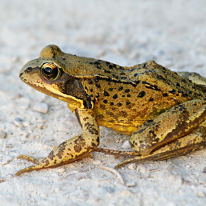 Fotos von Jürgen Schmidt