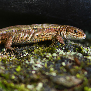 Fotos von Jürgen Schmidt