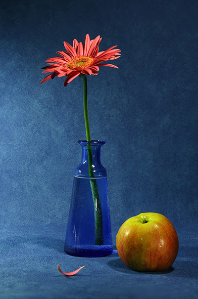 Fotos von Jürgen Schmidt