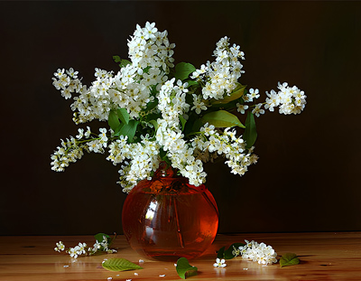 Fotos von Jürgen Schmidt