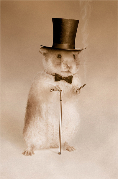 Fotos von Jürgen Schmidt