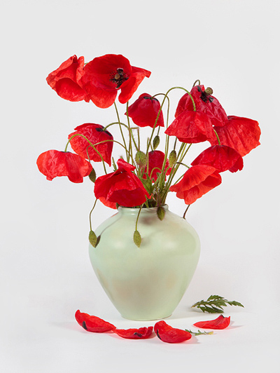 Fotos von Jürgen Schmidt