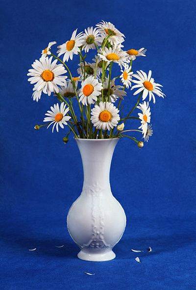 Fotos von Jürgen Schmidt