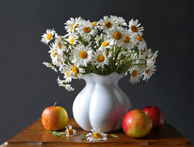 Fotos von Jürgen Schmidt