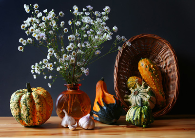 Fotos von Jürgen Schmidt