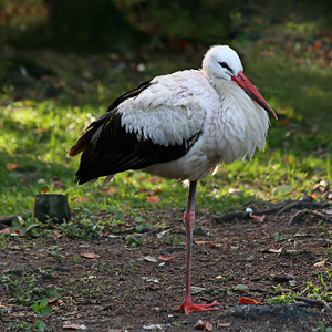 Fotos von Jürgen Schmidt