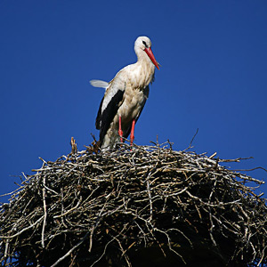 Fotos von Jürgen Schmidt