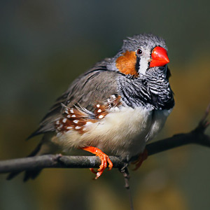 Fotos von Jürgen Schmidt