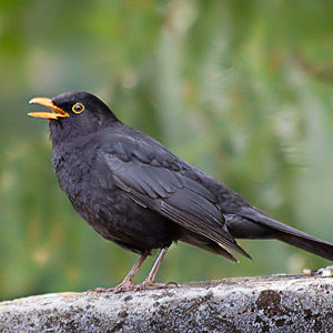 Fotos von Jürgen Schmidt