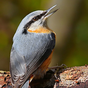 Fotos von Jürgen Schmidt