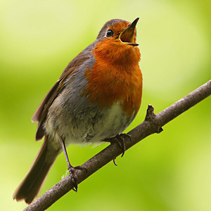 Fotos von Jürgen Schmidt