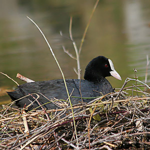 Fotos von Jürgen Schmidt