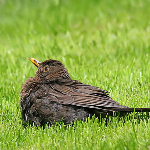 Fotos von Jürgen Schmidt