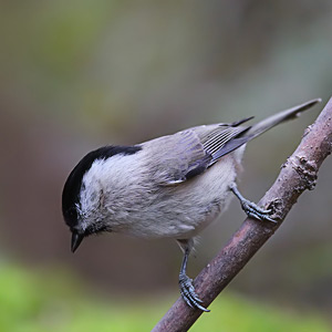 Fotos von Jürgen Schmidt