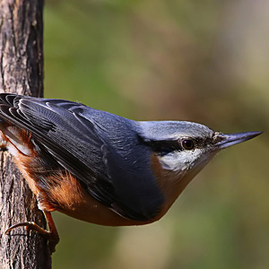 Fotos von Jürgen Schmidt